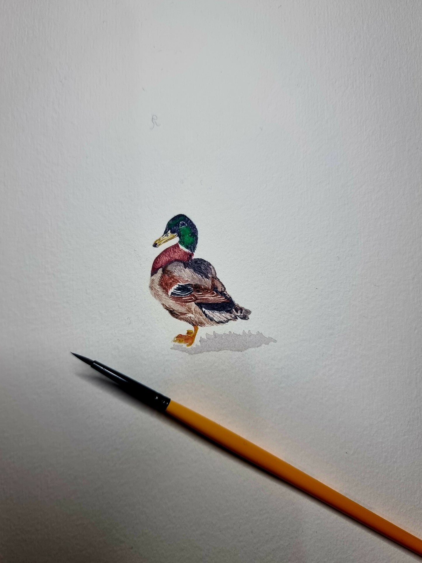 Duck Original Miniature Painting