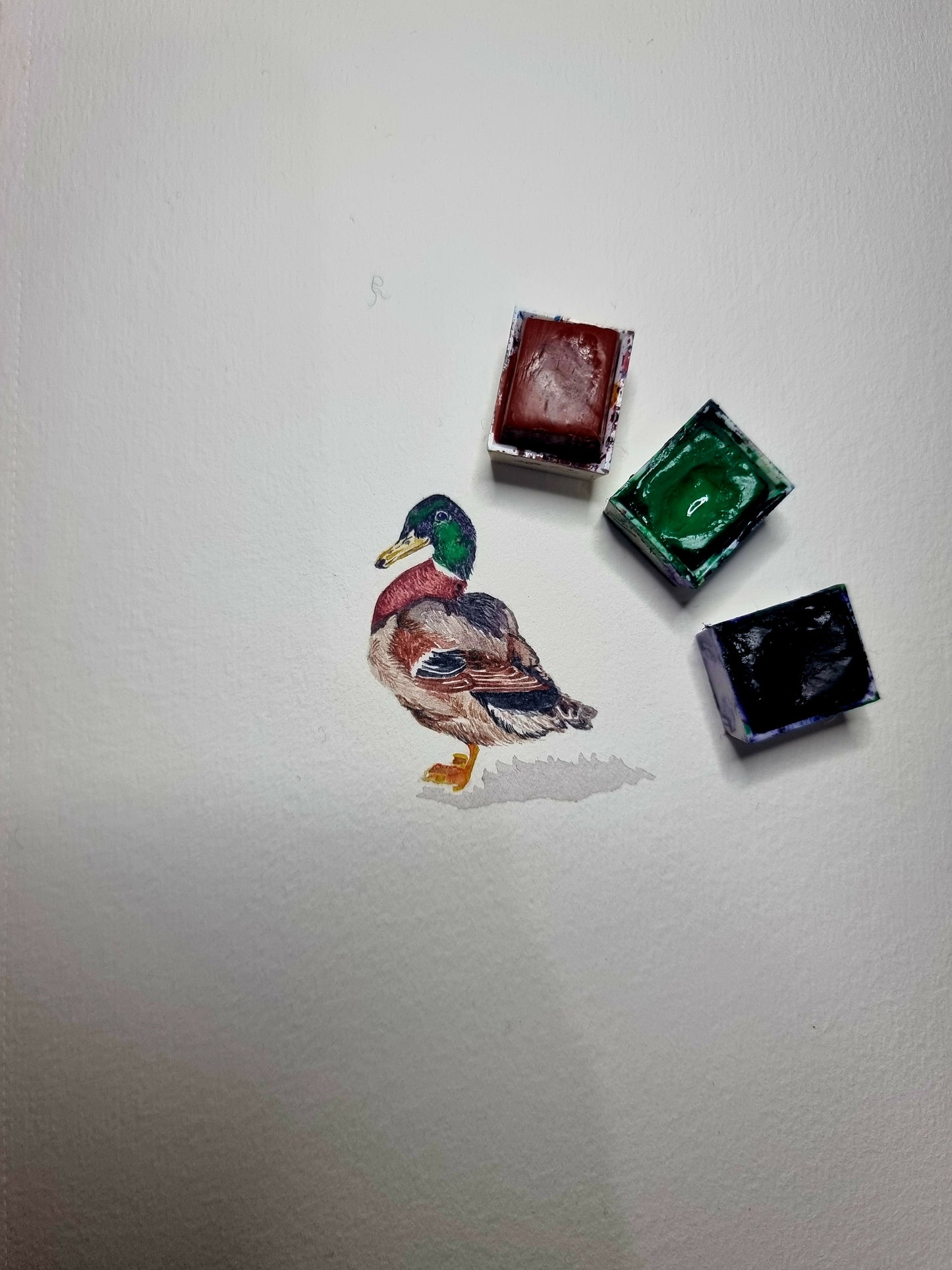 Duck Original Miniature Painting