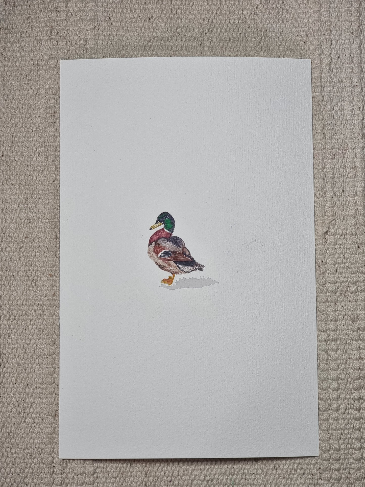 Duck Original Miniature Painting