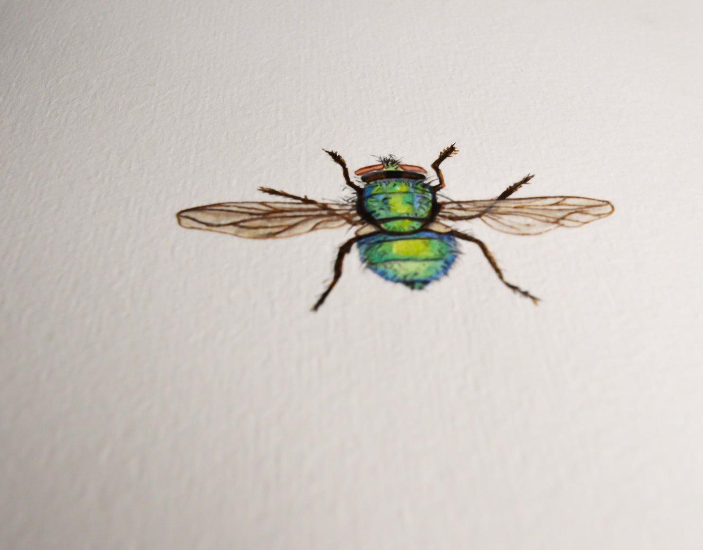 Bumblebee - Miniature Original Watercolor