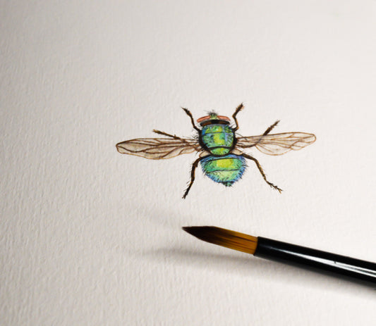 Bumblebee - Miniature Original Watercolor