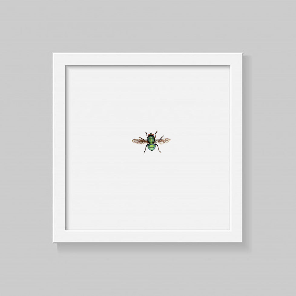 House Fly Giclee Print