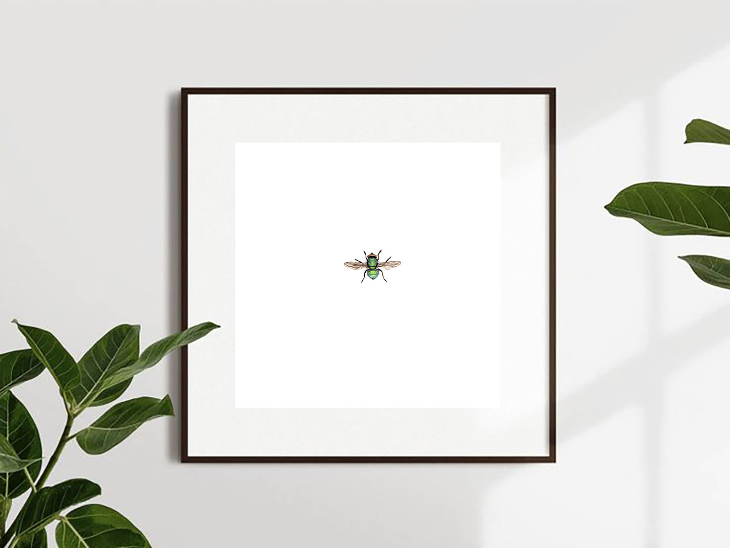 House Fly Giclee Print