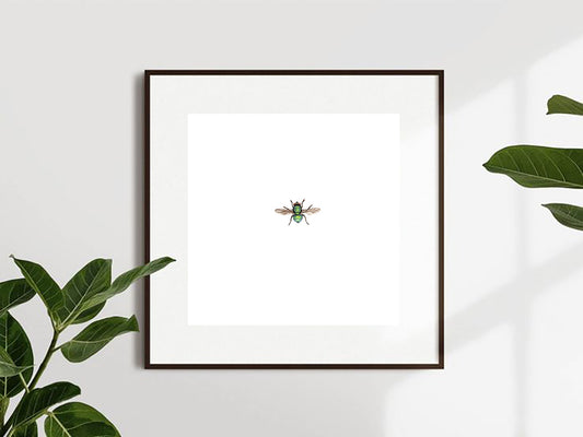 House Fly Giclee Print