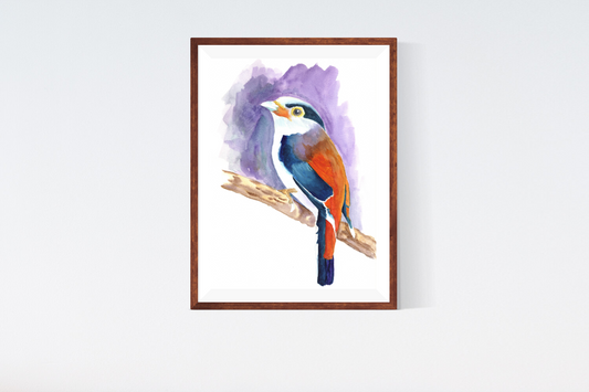 Bird Watercolour Painting Original
