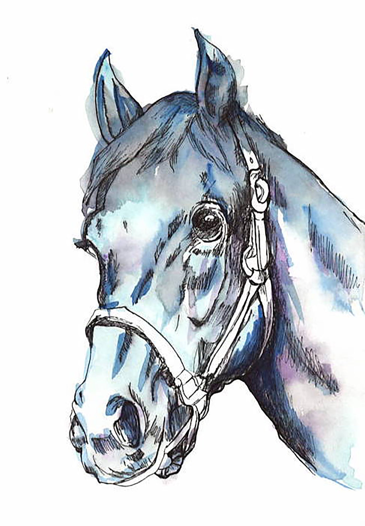 Watercolour Horse Print