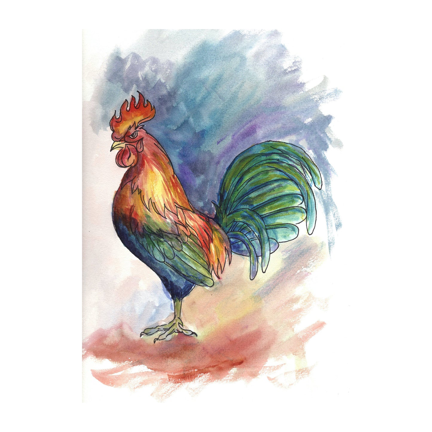 Rooster Watercolour Painting