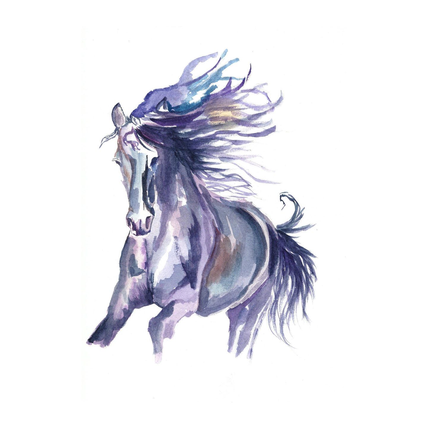Horse Art Watercolour Painting