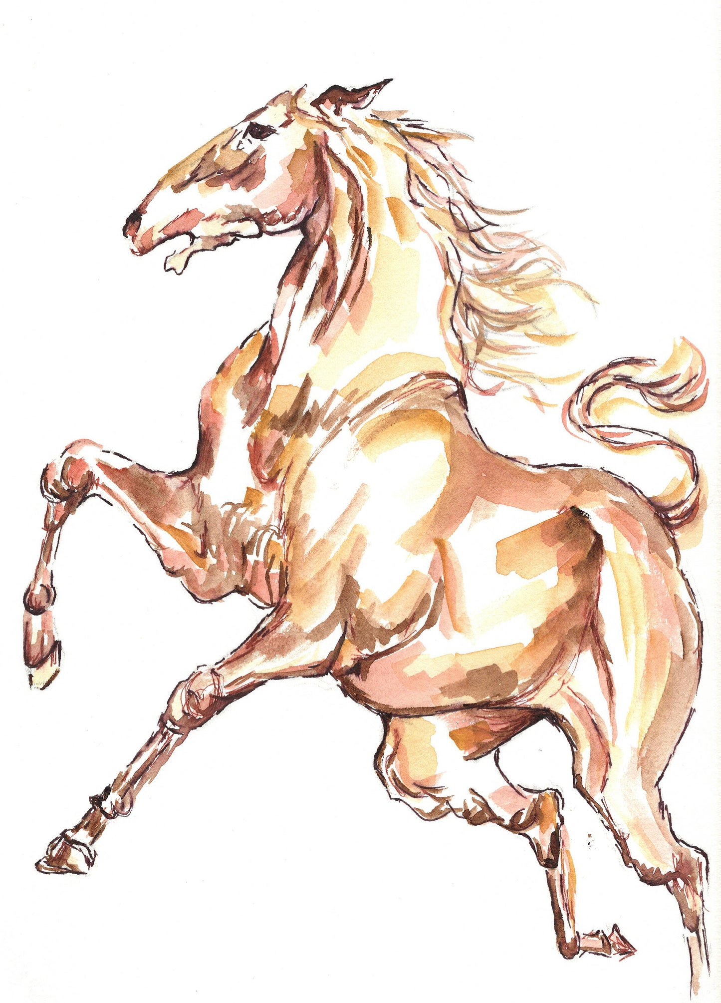 Horse Abstract Drawing