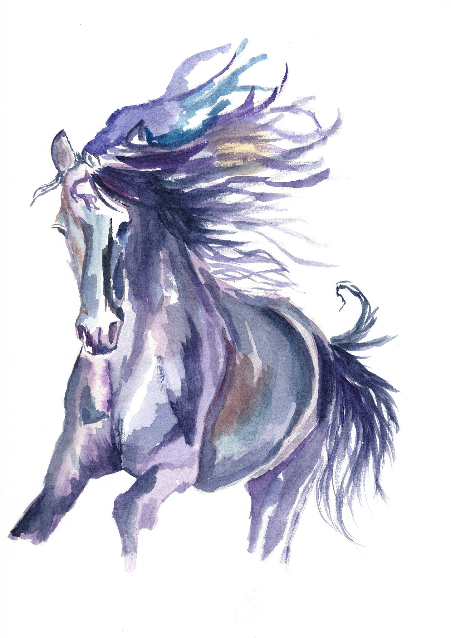 Horse Art Watercolour Painting