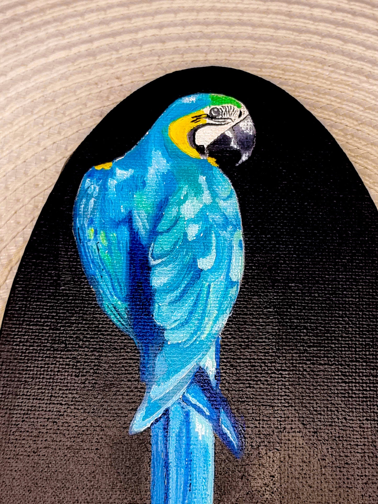 Original Parrot Painting