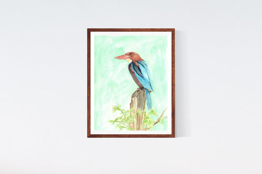 Bird Watercolour Painting Print