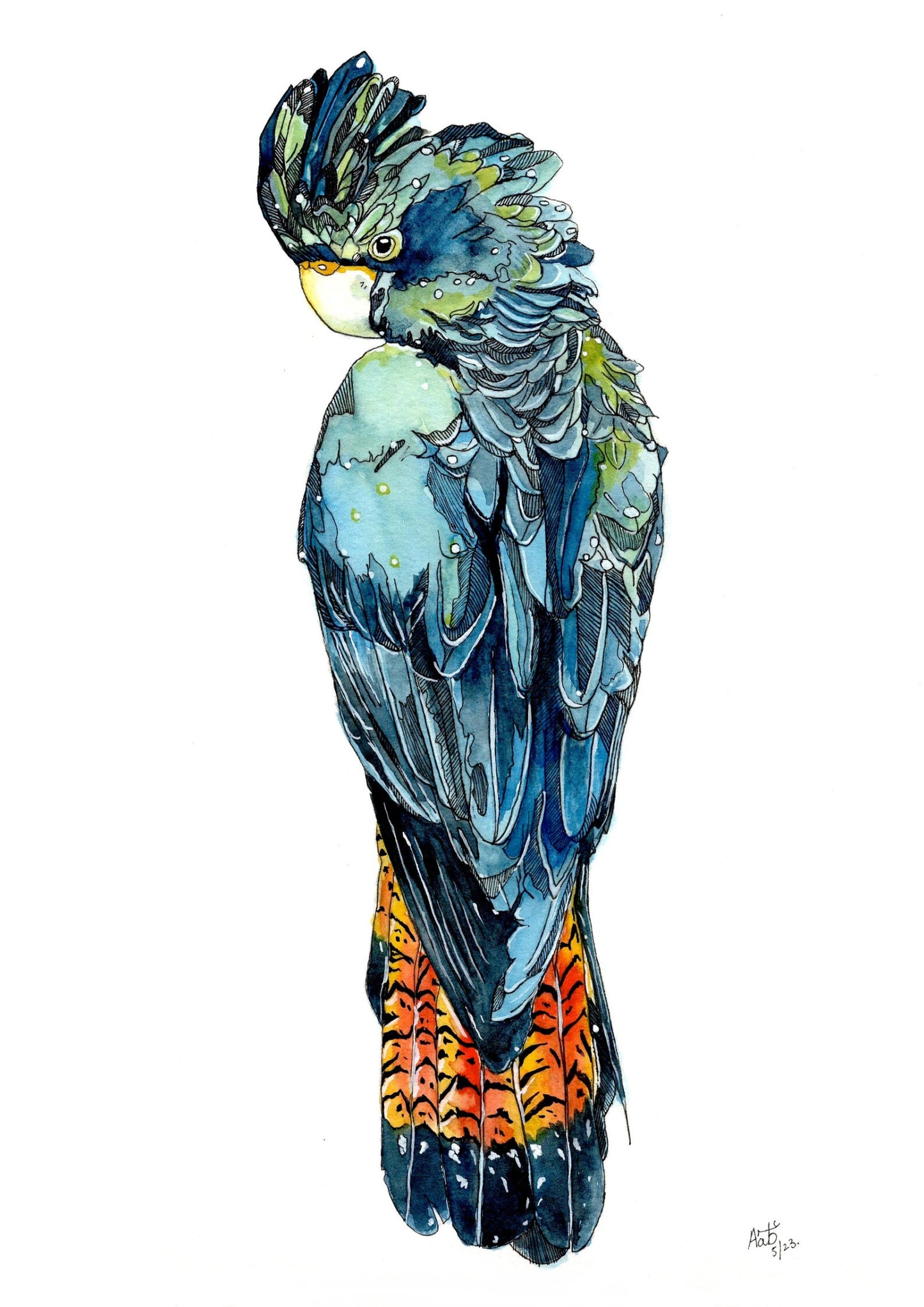 Macaw Watercolour Original Painting